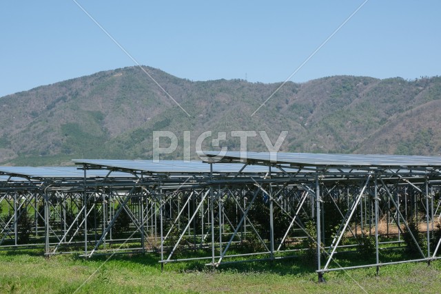 亀岡市に配置された太陽光パネル