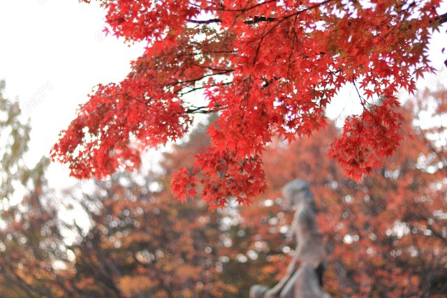 宮城県仙台市 紅葉で色づく秋の勾当台公園