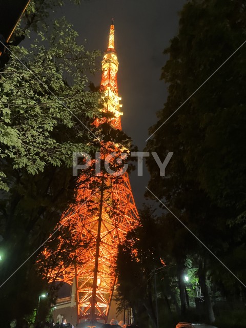 東京タワー1