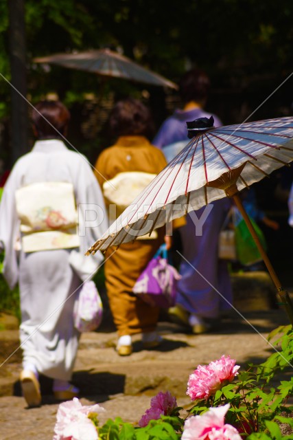 和傘と和服と牡丹