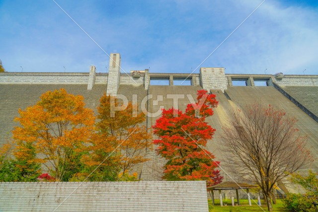 四万川ダムと秋の紅葉