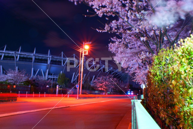 夜桜と味の素スタジアム