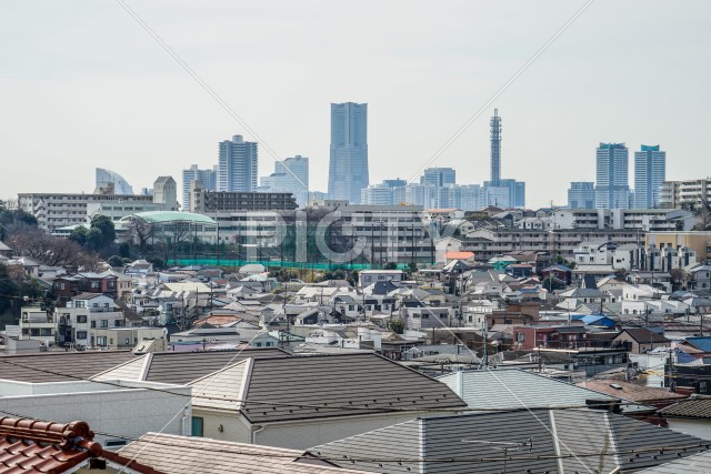 高台からの横浜の景色