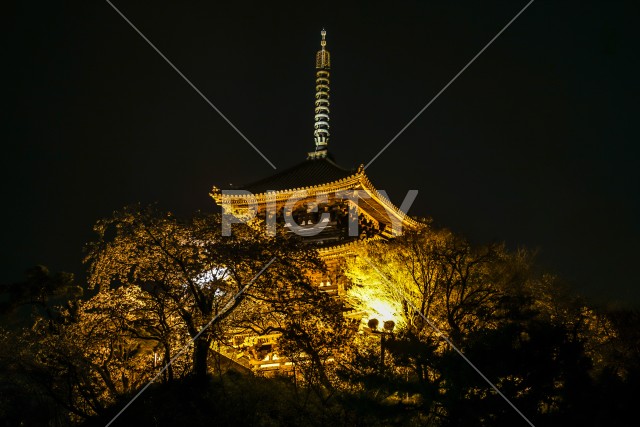 夜桜と旧燈明寺三重塔