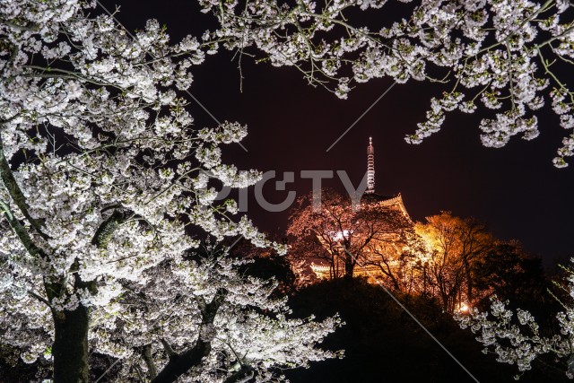 夜桜と旧燈明寺三重塔